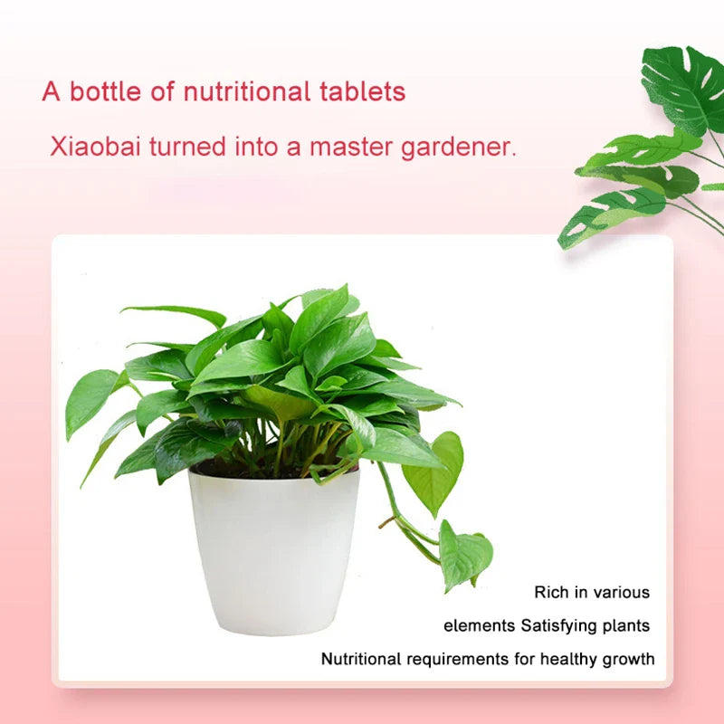 1Bottle Gardening Universal Slow-Release Tablet Organic Fertilizer Plant Nitrogen Phosphorus Potassium Slow Release Agent