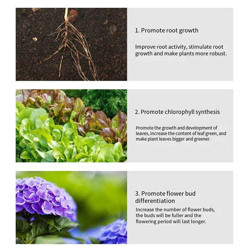 1Bottle Gardening Universal Slow-Release Tablet Organic Fertilizer Plant Nitrogen Phosphorus Potassium Slow Release Agent