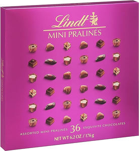 Mini Pralines, Assorted Chocolate Pralines with Premium Filling, Great for gift giving, 6.2 oz Box in Pakistan
