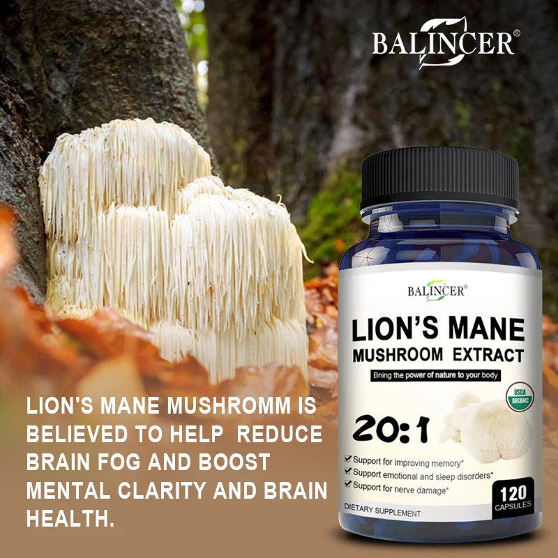 Balincer Lion's Mane Mushroom Extract Supplement for Mood and Sleep Health, Non-GMO, Gluten-free