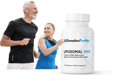 Liposomal NMN Supplement Cellular Energy Metabolism DNA Repair in Pakistan