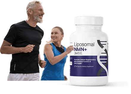 Liposomal NMN Supplement Cellular Energy Metabolism DNA Repair in Pakistan