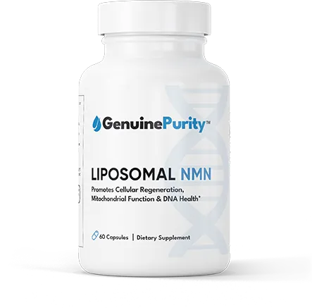 Liposomal NMN Supplement Cellular Energy Metabolism DNA Repair in Pakistan