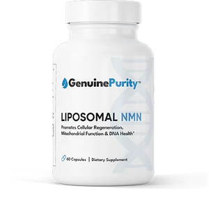 Liposomal NMN Supplement Cellular Energy Metabolism DNA Repair in Pakistan