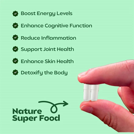 Moringa Capsules - Promote Bone, Joint, Immune Health | Enhance Energy, Endurance, Concentration