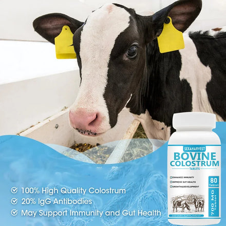 Pure Bovine Colostrum Tablet, Cattle Colostrum Supplement for Gut Health, Immune Support, Muscle Recovery Probiotic 80 pills