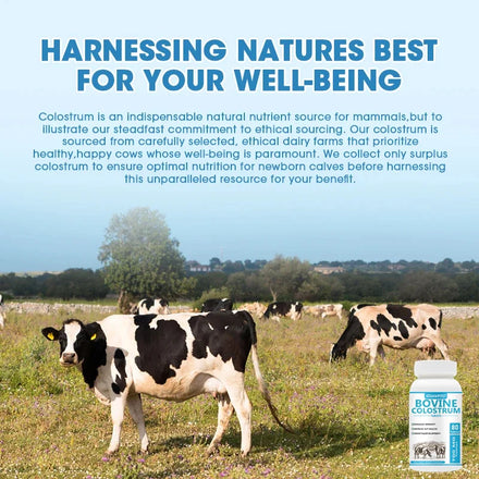 Pure Bovine Colostrum Tablet, Cattle Colostrum Supplement for Gut Health, Immune Support, Muscle Recovery Probiotic 80 pills
