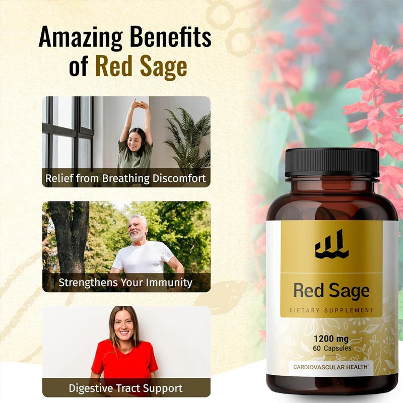 Red Sage Capsules - Organic Dan Shen Root Powder Supplement - Salvia Miltiorrhiza Pills -1200 milligrams, 60 vegetarian capsules