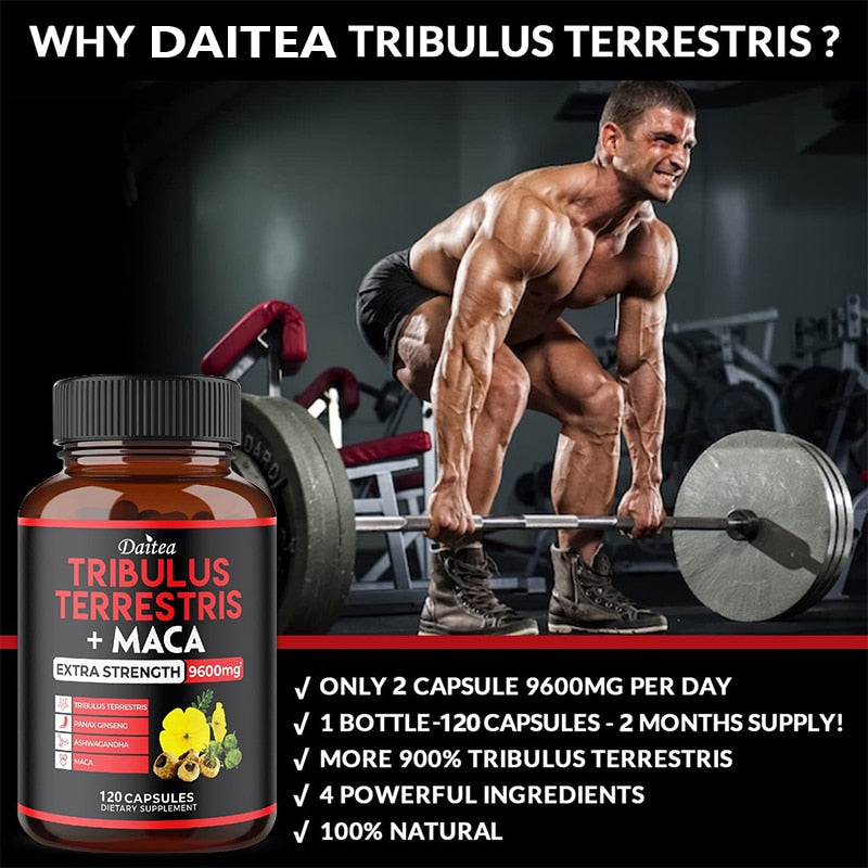Enhance Endurance Prolong Strong Erection Supplement Pill Improve Sexo Function Oyster Ginseng Herbal Essence