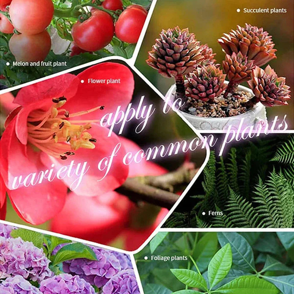 Household Gardening Organic Fertilizer Potted Succulent Organic Fertilizer Nutrient Slow Release for Foliage Plants Fruit Grow