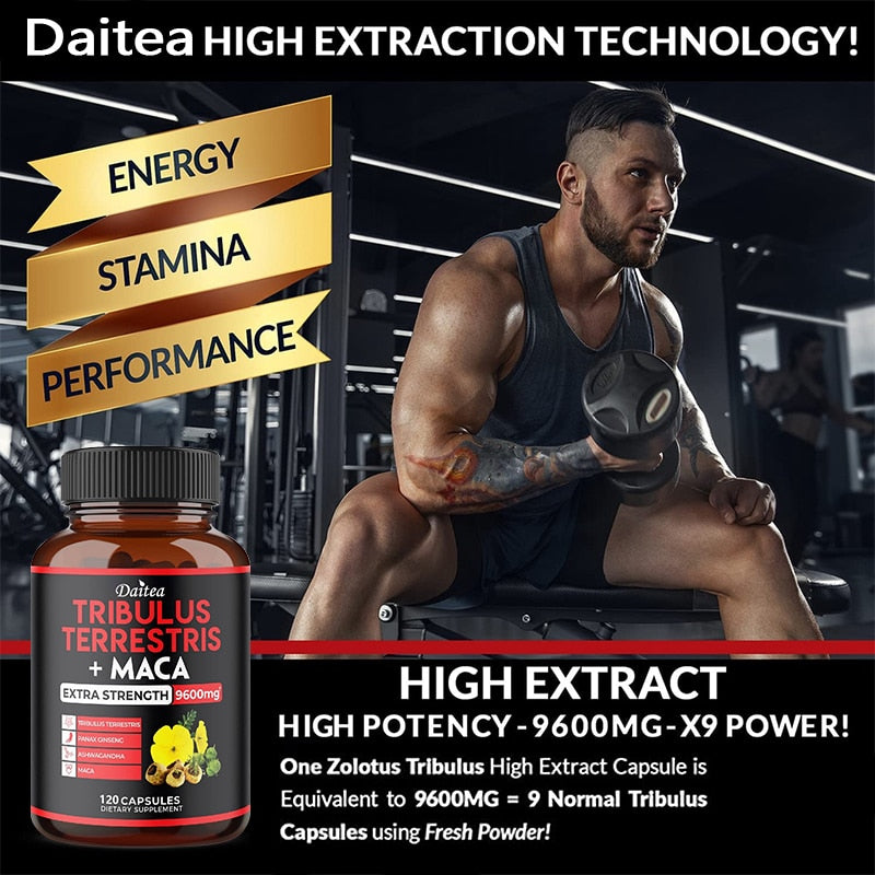 Enhance Endurance Prolong Strong Erection Supplement Pill Improve Sexo Function Oyster Ginseng Herbal Essence