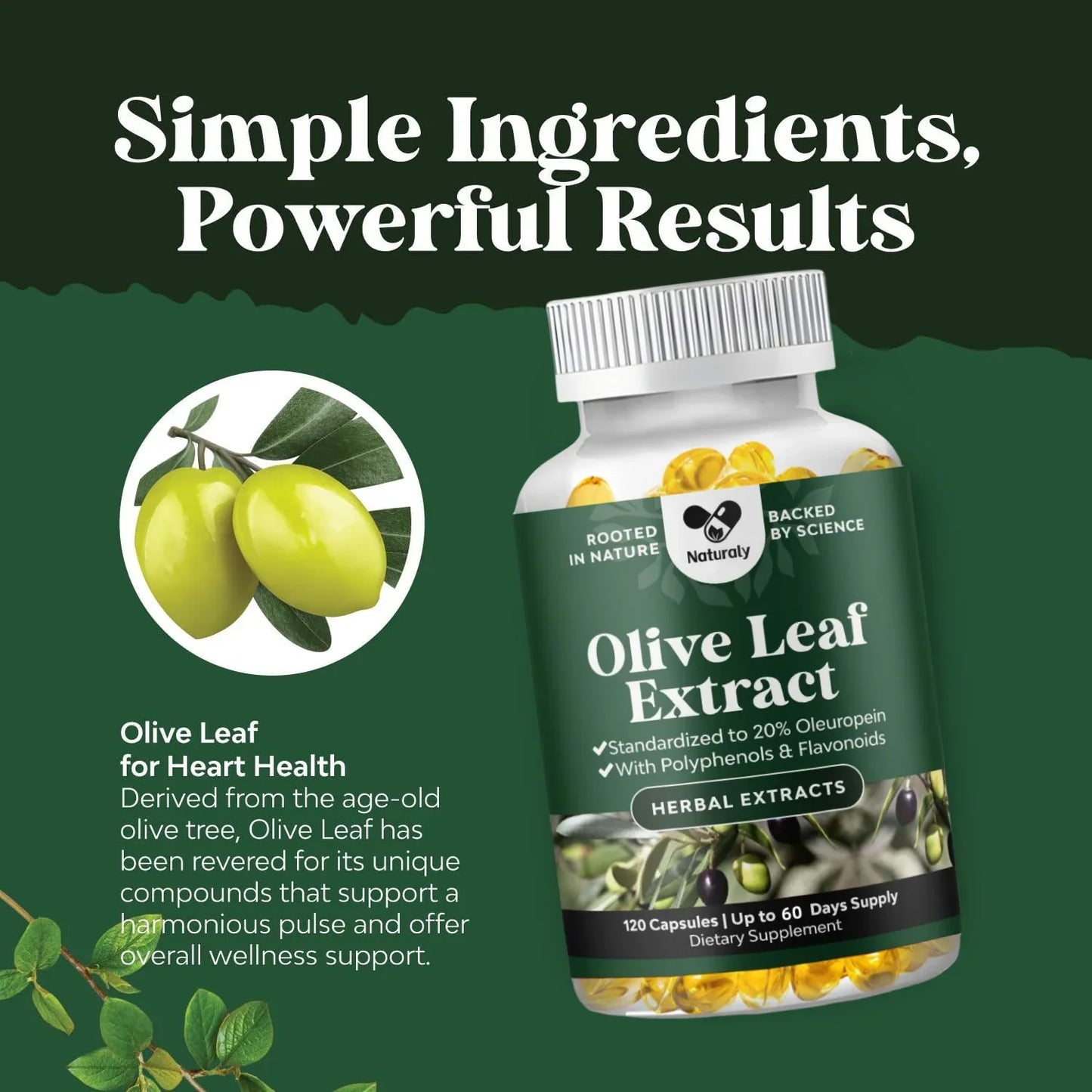 Powerful Olive Leaf Extract Capsules - High strength antioxidant supplement, containing pure olive leaves and 20% olivine - Herb