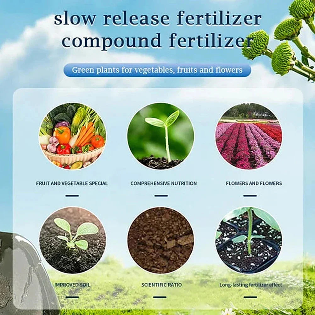 Household Gardening Organic Fertilizer Potted Succulent Organic Fertilizer Nutrient Slow Release for Foliage Plants Fruit Grow