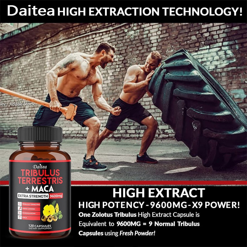 Enhance Endurance Prolong Strong Erection Supplement Pill Improve Sexo Function Oyster Ginseng Herbal Essence