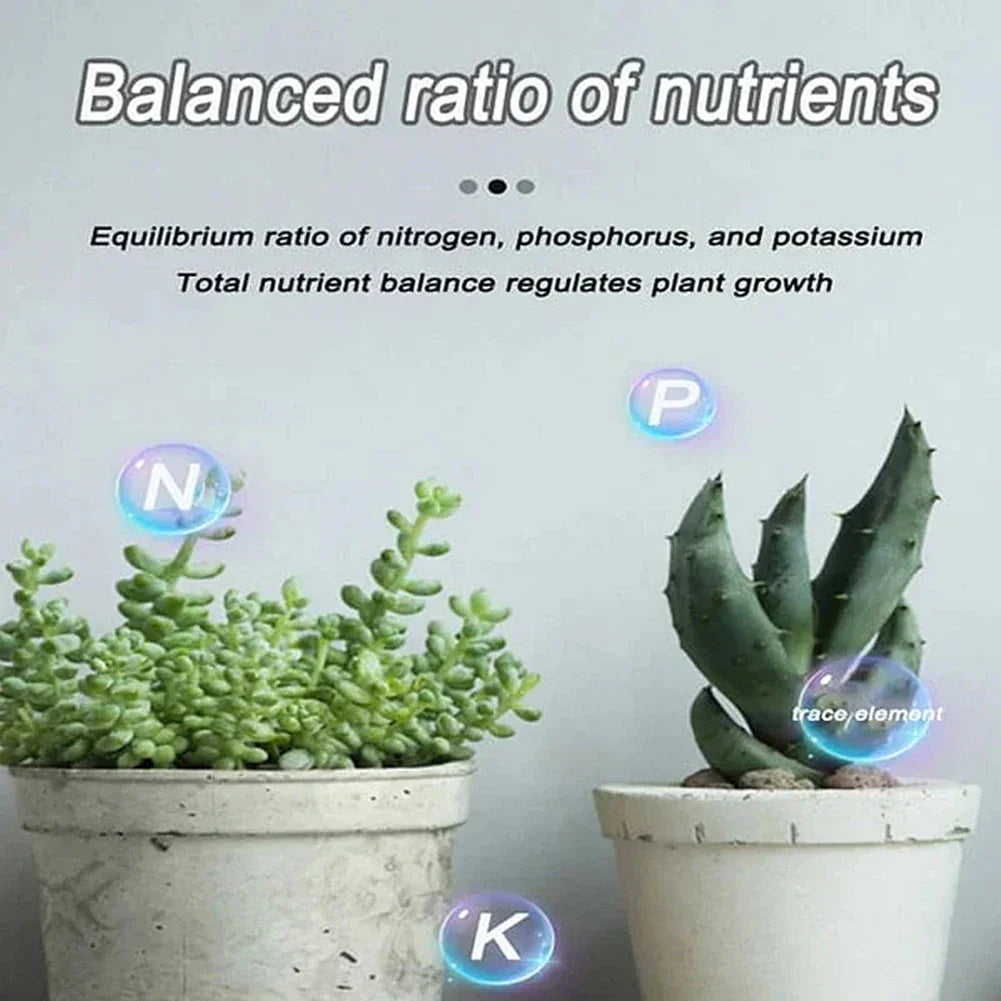 Household Gardening Organic Fertilizer Potted Succulent Organic Fertilizer Nutrient Slow Release for Foliage Plants Fruit Grow