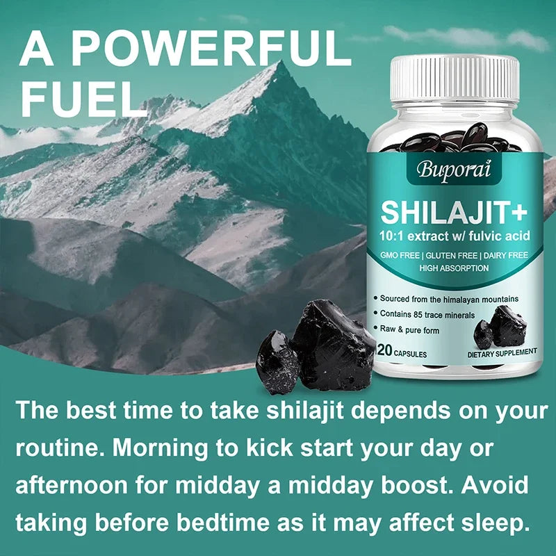 Shilajit - High Potency for Energy Boost & Immune Support, Focus Healthy Care