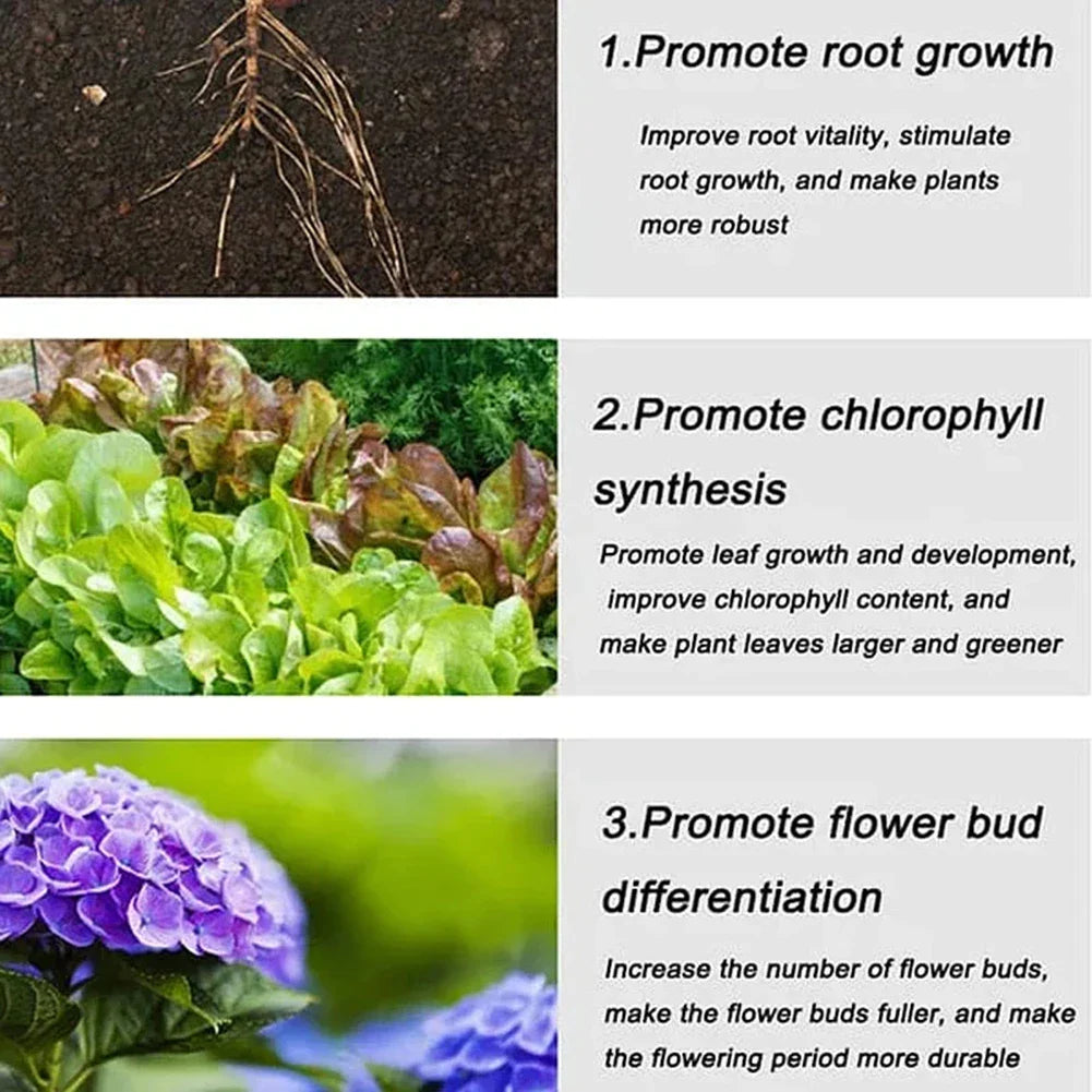 Household Gardening Organic Fertilizer Potted Succulent Organic Fertilizer Nutrient Slow Release for Foliage Plants Fruit Grow