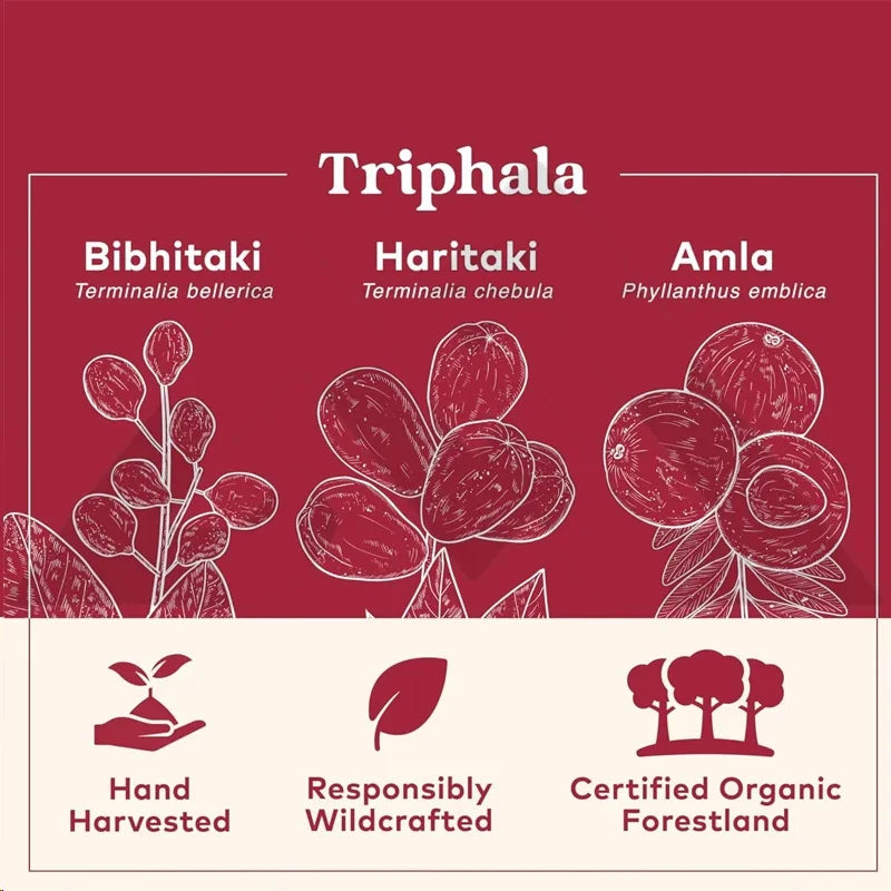 Triphala Capsules - Contains Amla, Bibitaki, Haritaki, Digestive And Colonic, Immune System Support, Pure Herbal Supplements