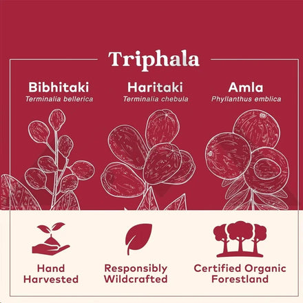 Triphala Capsules - Contains Amla, Bibitaki, Haritaki, Digestive And Colonic, Immune System Support, Pure Herbal Supplements