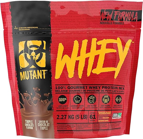 Whey – 100% Whey Protein Powder, Gourmet Ta in Pakistan