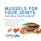 OmegaXL Joint Support Supplement, for Relief - Natural Muscle Support, Supplement in Pakistan