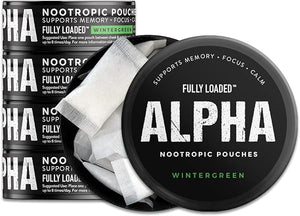Fully Loaded Alpha Nootropic Pouches (Wintergreen) - 5 cans of 15 Pouches Each in Pakistan