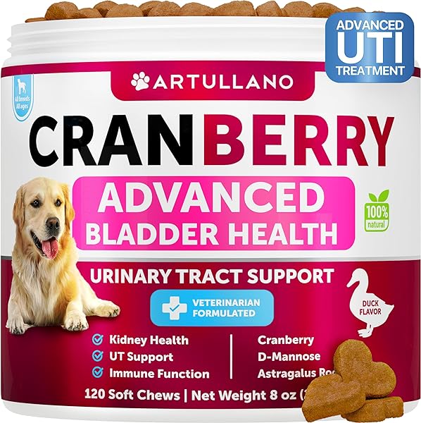Dog UTI Treatment - Cranberry Supplement for  in Pakistan