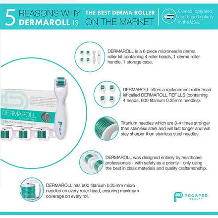 Derma Face Roller Microneedle 6 Piece Kit with 4 Replaceable Heads Micro Derma Skin Care Tool