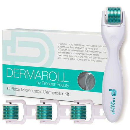 Derma Face Roller Microneedle 6 Piece Kit with 4 Replaceable Heads Micro Derma Skin Care Tool