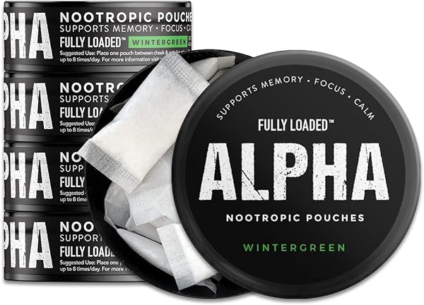 Fully Loaded Alpha Nootropic Pouches (Winterg in Pakistan