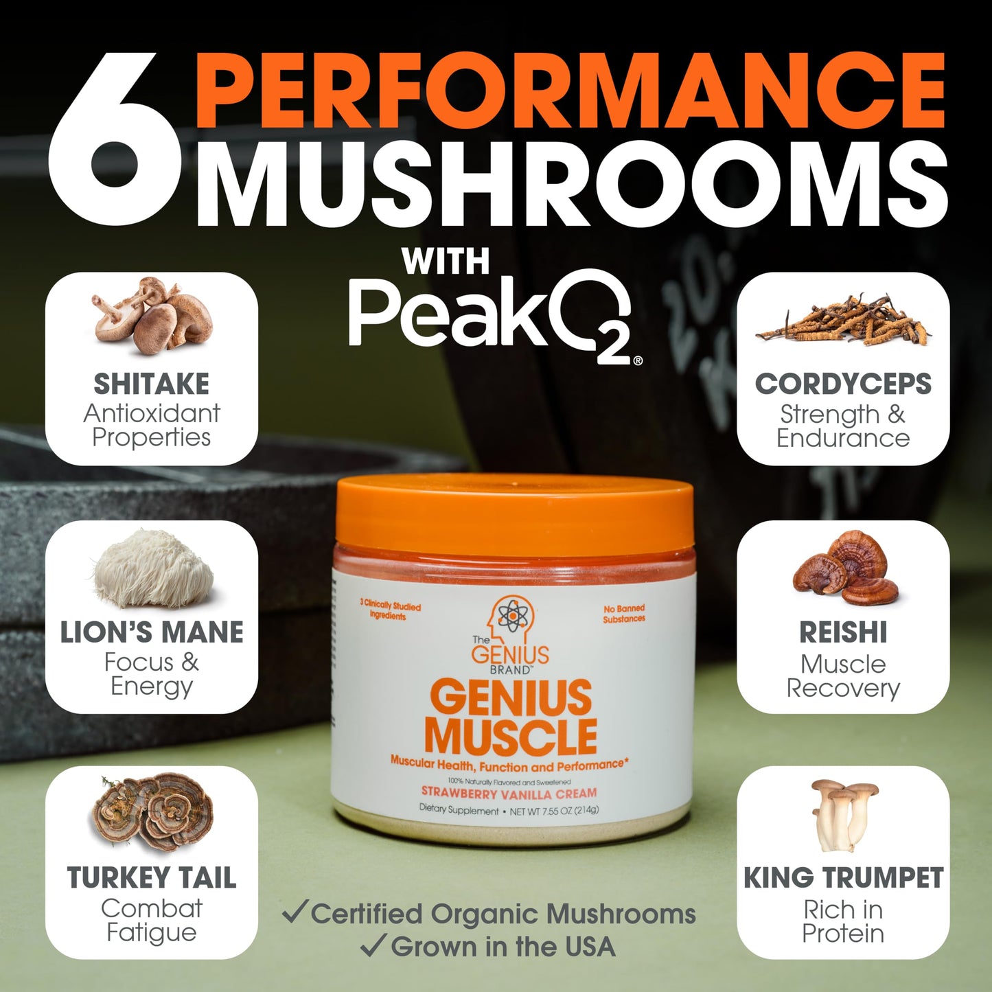 Genius Muscle Builder & Mass Gainer, Strawberry Vanilla -Supplement in Pakistan
