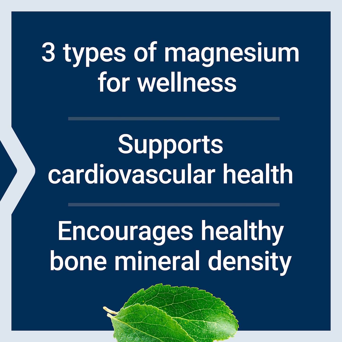 Life Extension Magnesium Caps, 500 mg, magnesium oxide, citrate, succinate, heart health, healthy bones, metabolism support, 100 vegetarian capsules