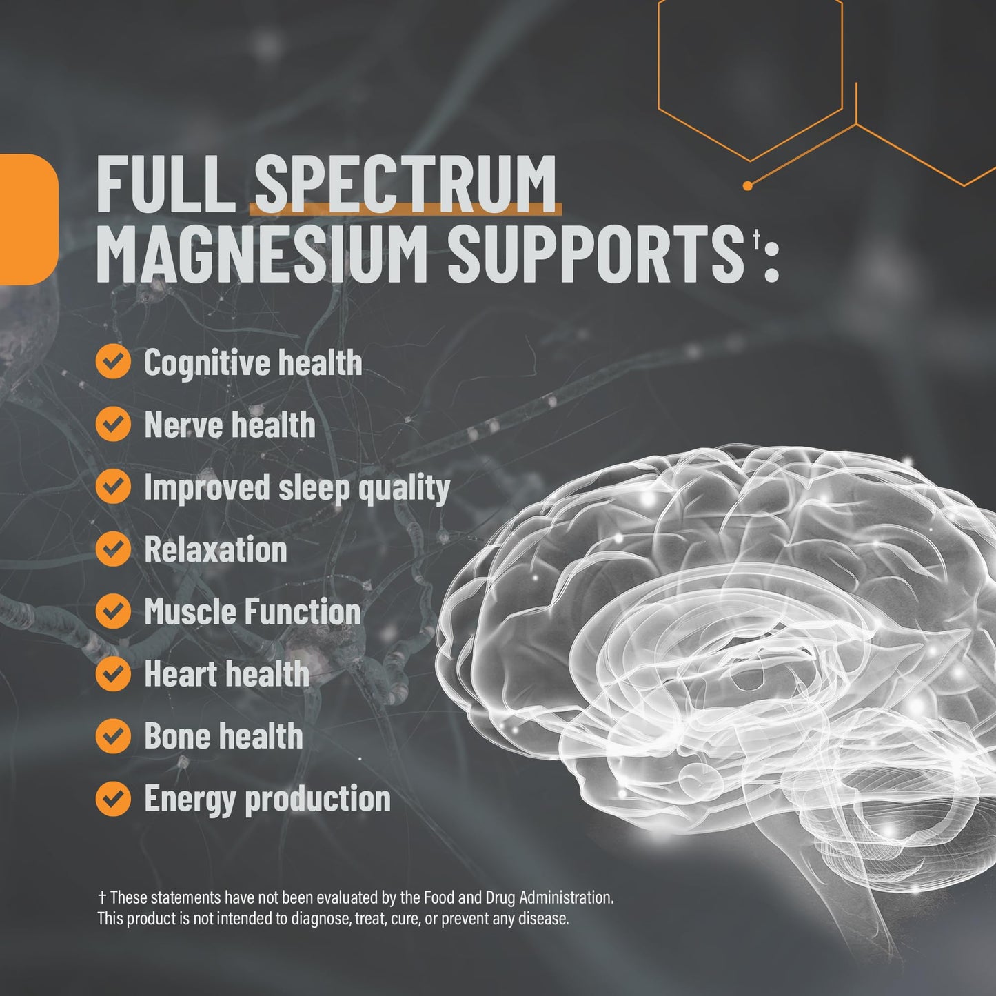 Magnesium Supplement, Magnesium w/L Theanine, P5P (B6), Zinc, Glycine, 6 Forms of Magnesium, L Theanine Supplement - 60 Capsules