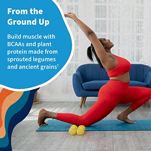 Organic Vegan Vanilla Protein Powder - Garden of Life – Supplement in Pakistan