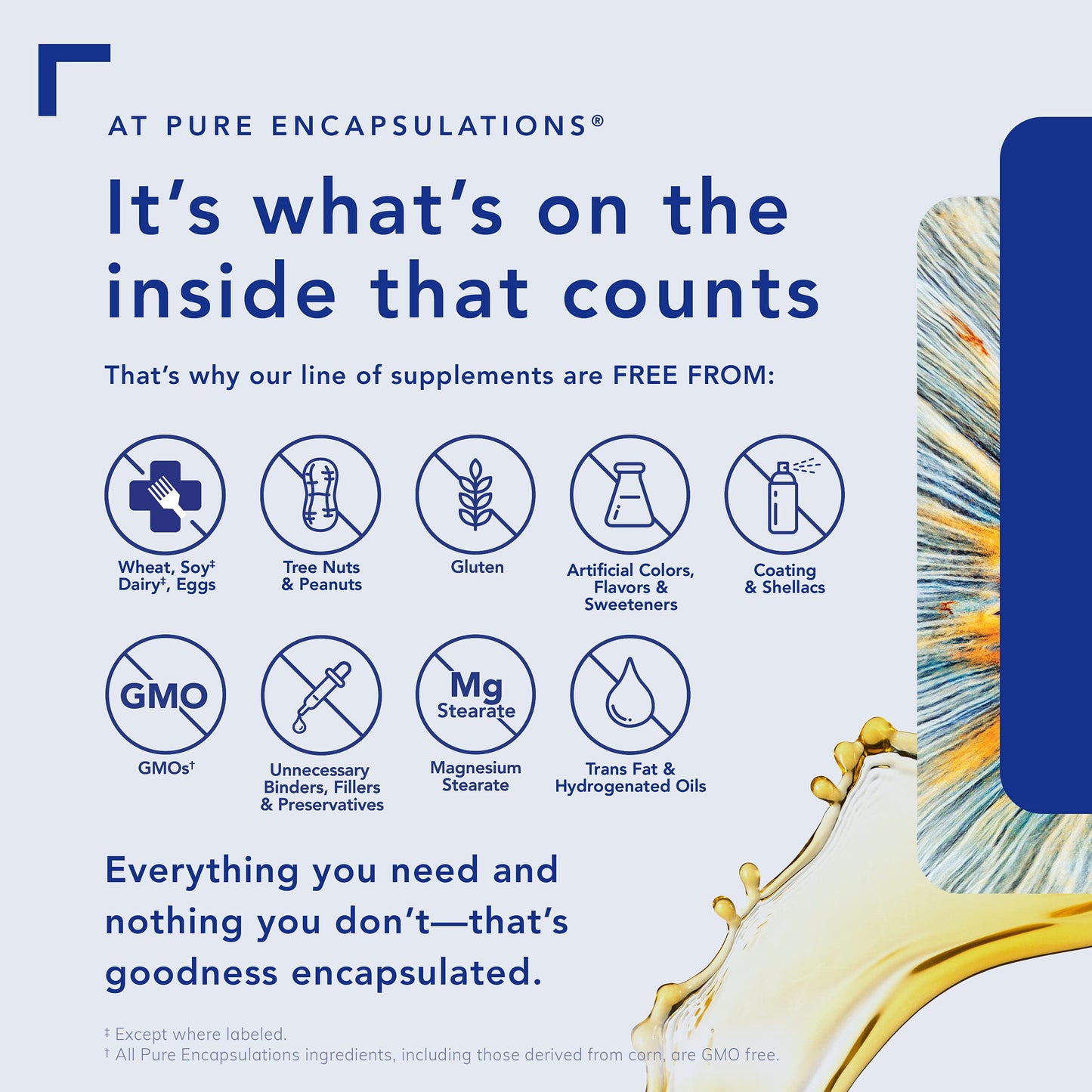 Pure Encapsulations Zinc 30 mg - Highly Absorbable - for Immune System Support - Zinc Picolinate - 180 Capsules