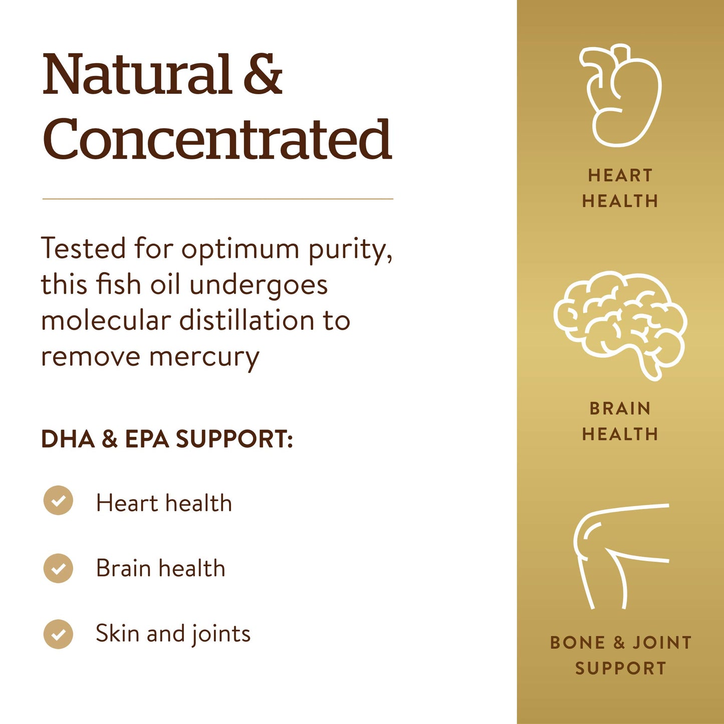 Solgar Omega-3 Fish Oil Concentrate, 240 Softgels - Support for Cardiovascular, Supplement in Pakistan