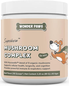 WONDER PAWS in Pakistan