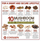 10 Mushroom Complex - Enhance Brain Memory and Concentration, Keep The Mind Clear and Relieve Stress