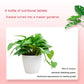 1Bottle Gardening Universal Slow-Release Tablet Organic Fertilizer Plant Nitrogen Phosphorus Potassium Slow Release Agent