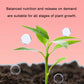 1Bottle Gardening Universal Slow-Release Tablet Organic Fertilizer Plant Nitrogen Phosphorus Potassium Slow Release Agent