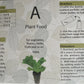 2 PCS Hydroponics Garden Plant Food A+ B Growing Nutrient Formula Vegetables Fruit Flower Fertilizer