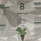 2 PCS Hydroponics Garden Plant Food A+ B Growing Nutrient Formula Vegetables Fruit Flower Fertilizer