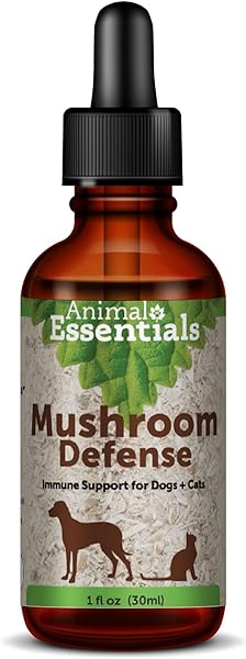 Mushroom Defense Supplement, 1 oz - Certified Organic Herbs, Alcohol-Free, Enhances Immune System in Pakistan