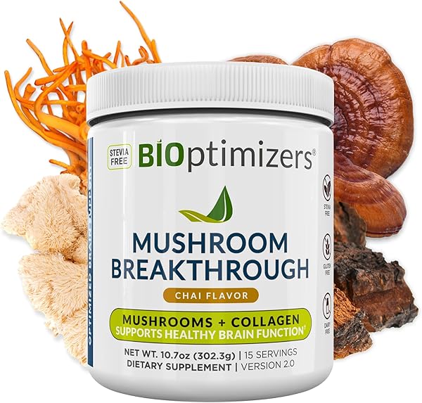 Mushroom Breakthrough - Chai Flavor - Nootropic Supplement Blended Powder of Mushroom, Collagen & Superfoods: Lion’s Mane, Chaga, Reishi (15 Servings) in Pakistan in Pakistan