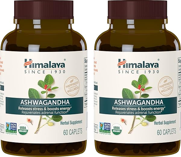 Organic Ashwagandha, 120 Day Supply, Herbal Supplement for Stress Relief, Energy Support, Occasional Sleeplessness, USDA Organic, Non-GMO, Vegan, Gluten Free, 670 mg, 60 Caplets, 2 Pack in Pakistan in Pakistan