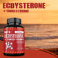 Beta Ecdysterone and Turkesterone Supplements - Muscle Mass Increase, Anabolic Activity Support, Muscle Development