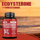 Beta Ecdysterone and Turkesterone Supplements - Muscle Mass Increase, Anabolic Activity Support, Muscle Development