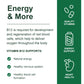 Catfit Vitamin B12 Capsules Supports Energy Metabolism Mood Nervous System Support Daily B12 Nutritial Supplement Health Care