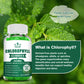 Chlorophyll Gummies-with ACV, Vitamin D3, C, E, B12 -Natural Deodorant, Energy Boost, Immune&Digestion Support, Vegan 60 Candies