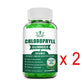 Chlorophyll Gummies-with ACV, Vitamin D3, C, E, B12 -Natural Deodorant, Energy Boost, Immune&Digestion Support, Vegan 60 Candies